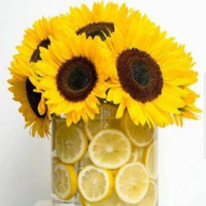 Meet your Posher, Denisha lenice